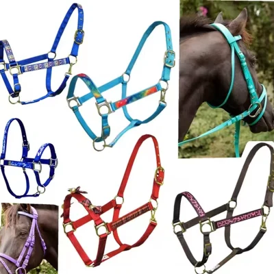 Saddle Style colorful horse halter