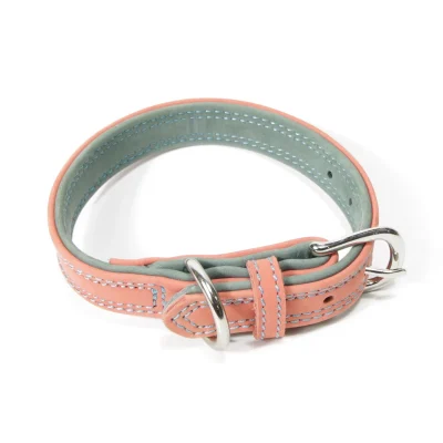 Dog Collar Precautions