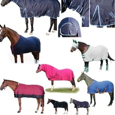 Horse gear classification